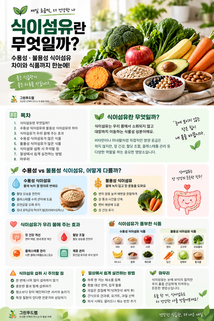 식이섬유란 무엇일까? 수용성·불용성 식이섬유 차이와 많은 식품 1 ChatGPT Image 2026년 9월 10일 오전 08 40 57