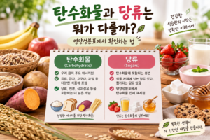 탄수화물과 당류는 뭐가 다를까? 영양성분표에서 확인하는 법 2 ChatGPT Image 2026년 9월 10일 오후 12 45 25